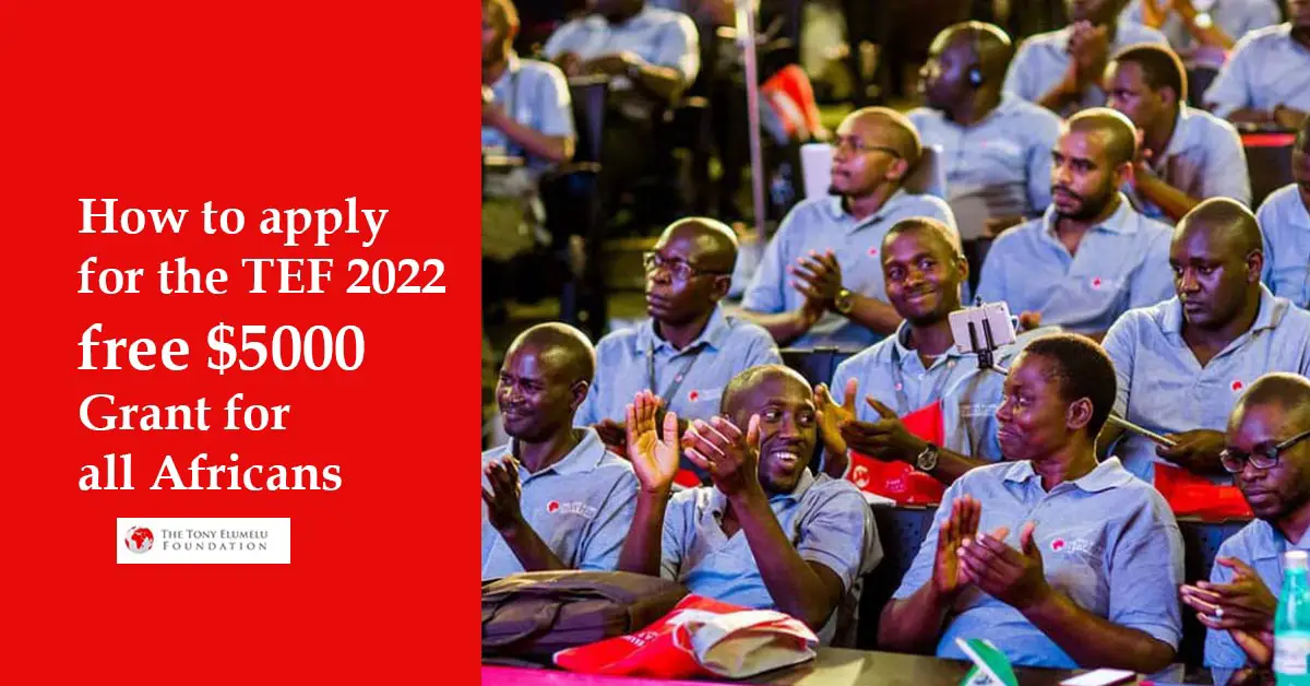 Tony Elumelu Foundation Grant 2022