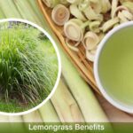 lemongrass benefits lemongrass tea lemongrass and ginger tea