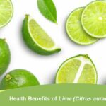 Health Benefits of Lime Citrus aurantifolia
