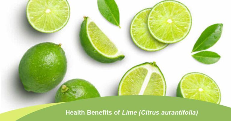 Health Benefits of Lime (Citrus aurantifolia)