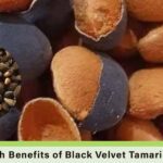 Health Benefits of Black Velvet Tamarind Dialium guineense icheku