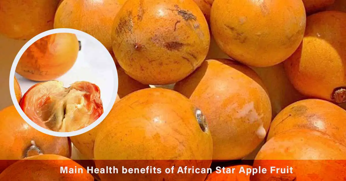 African Star Apple Fruit health benefits, agbalumo, udara ,cherry