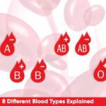 8 Different Blood Types Explained