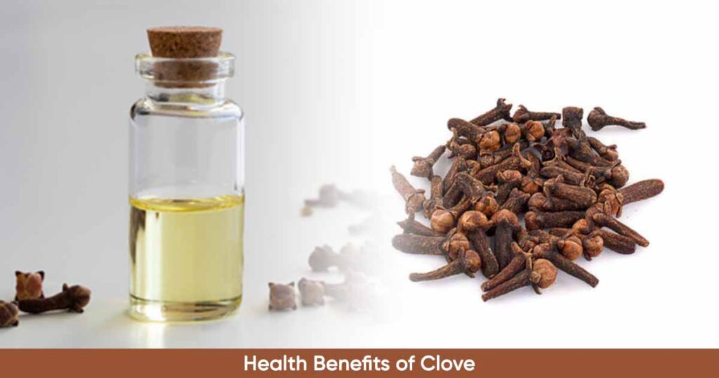 Important Health Benefits of Clove (Syzygium aromaticum)