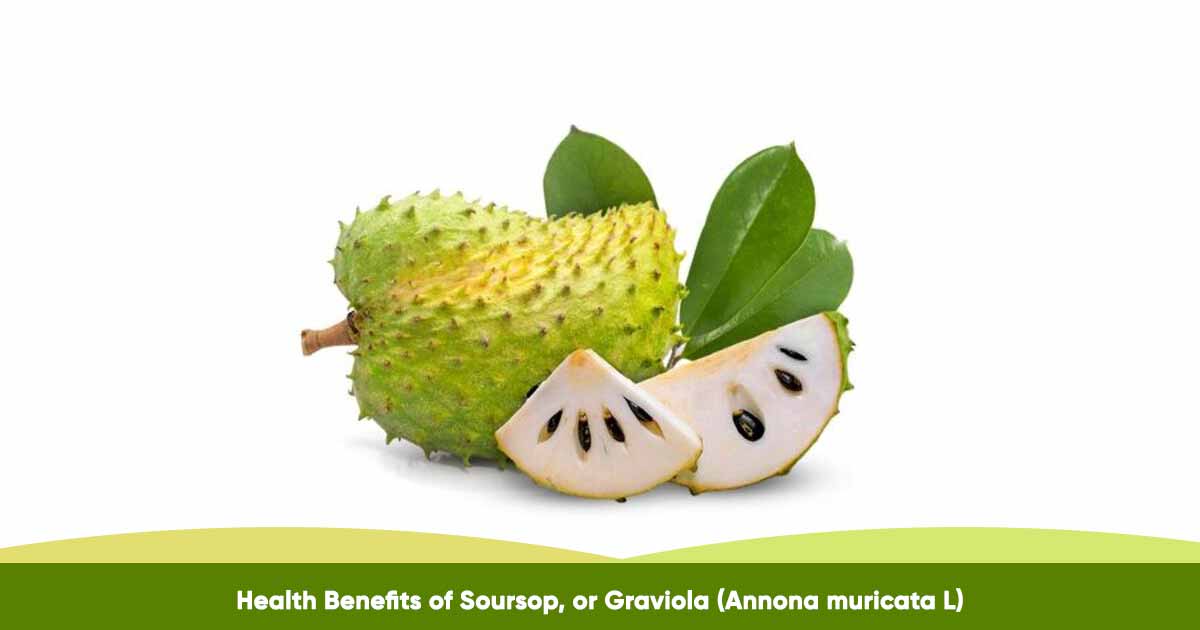 Health Benefits of Soursop or Graviola (Annona muricata L)