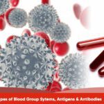 Types of Blood Group Sytems Antigens Antibodies