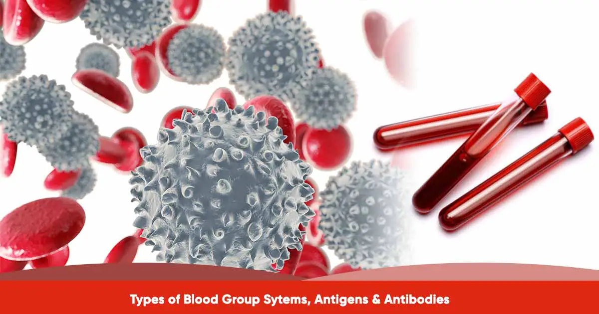 Types of Blood Group Sytems, Antigens & Antibodies