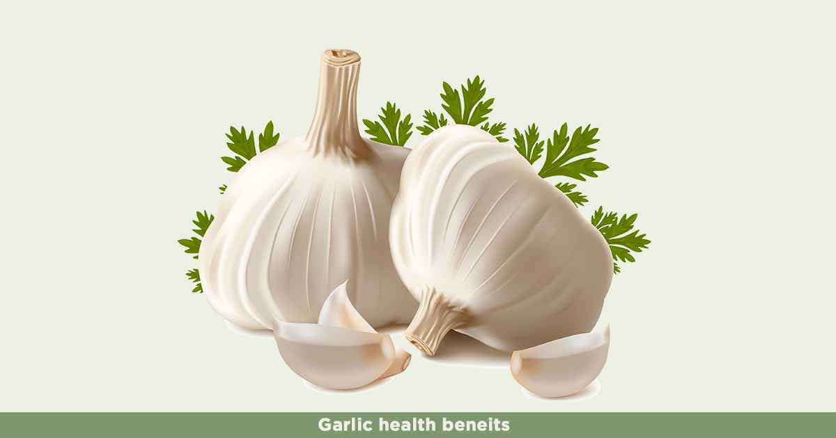 Garlic Allium sativum Health and Nutritional Benefits