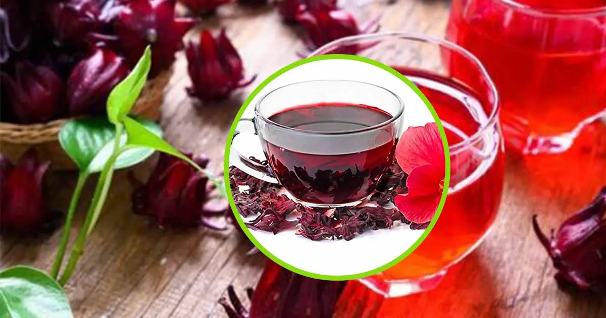 Hibiscus Sabdariffa (Zobo drink or Roselle Juice) Health Benefits
