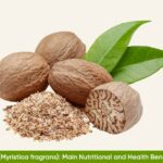 Nutmeg Myristica fragrans Nutritional and Health Benefits