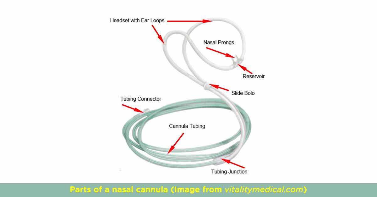 Nasal Cannula vs Nasal Prong The Differences