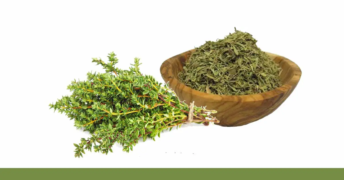 Thyme (Thymus vulgaris) Health and Nutritional Benefits