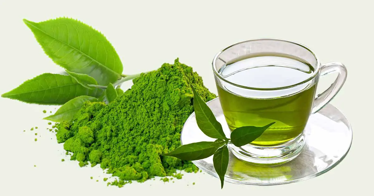 Green Tea (Camellia sinensis) Health Benefits, Side Effects