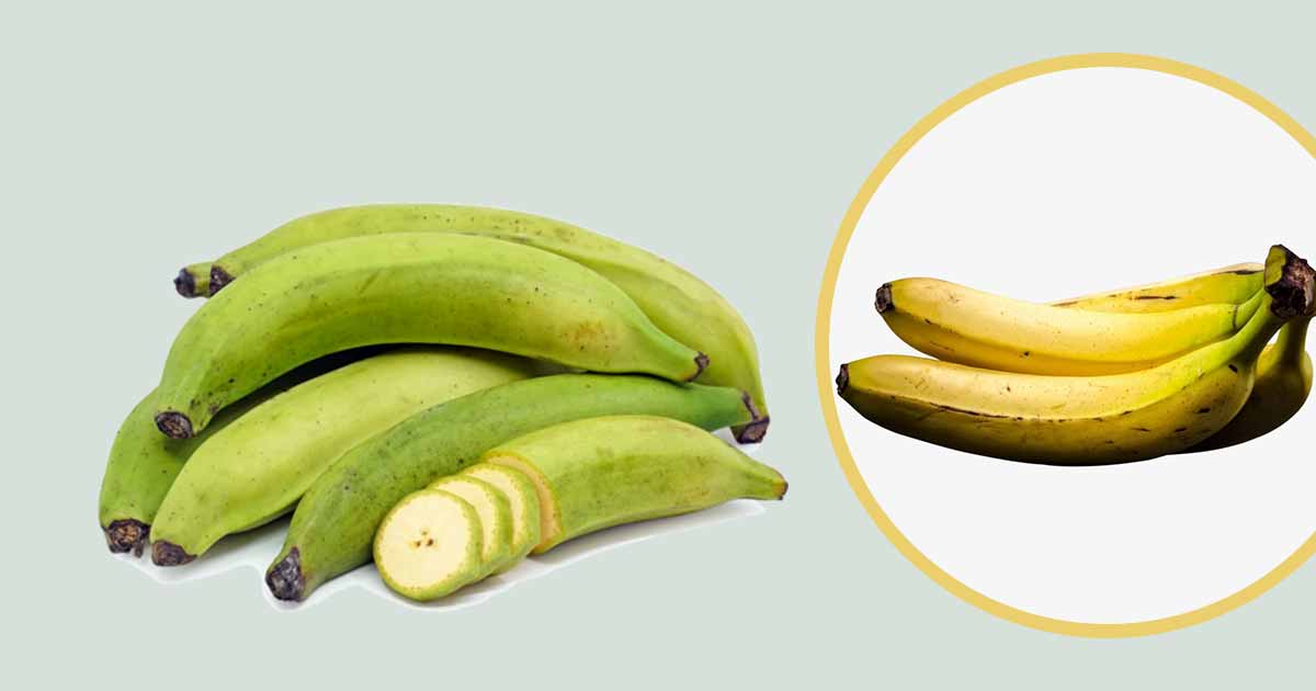 Plantains Nutritional Composition, Health Benefits