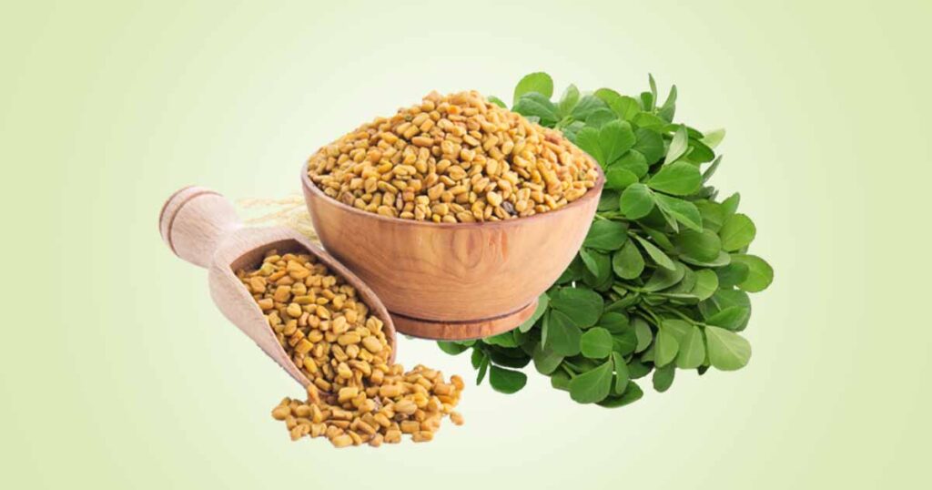 Fenugreek Interesting Health Benefits of Fenugreek Seeds, Side Effects