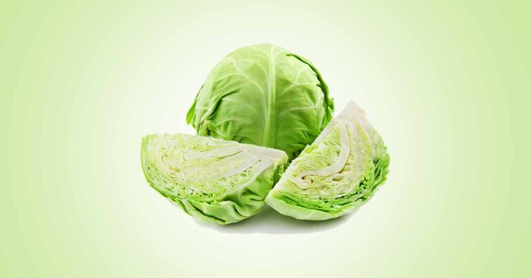 Green or White Cabbage (Brassica Oleracea L.) Incredible Health Benefits, Nutritional Content