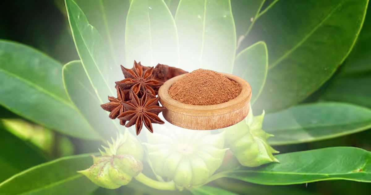 Health Benefits of Star Anise (Illicium verum), and Star Anise Essential Oils, Side Effects