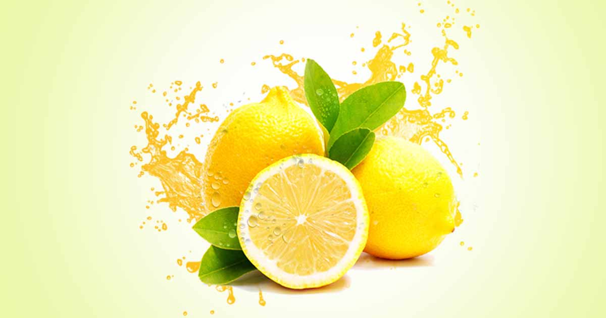 Lemon (Citrus limon) Health Benefits of Lemon Juice, Leaves, Essential Oils
