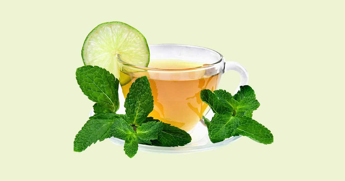 Mint Tea Health Benefits of Peppermint or Spearmint Tea