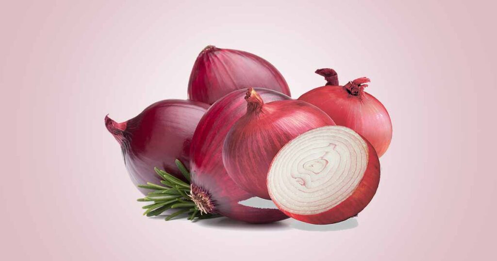 Onion (Allium cepa) Important Health Benefits of the Onion Bulb and Peel
