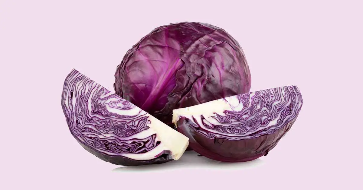 Red Cabbage Nutritional and Health Benefits