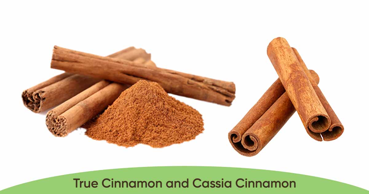 differences between true Cinnamon and Cassia Cinnamon