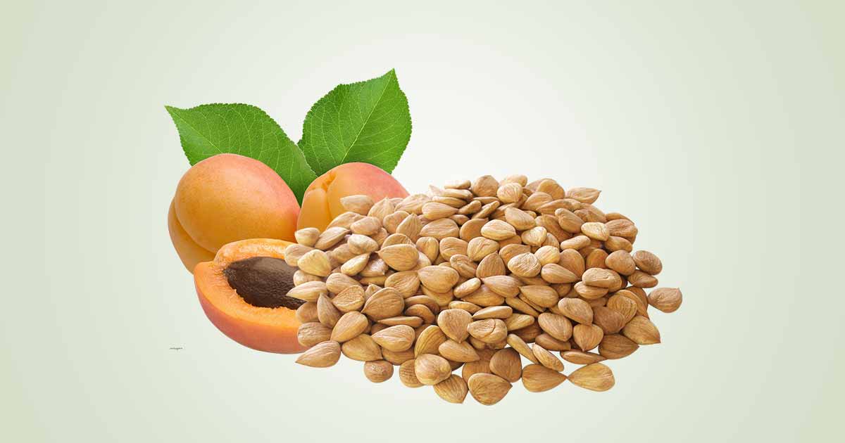 Apricot Seed or Kernel Health Benefits.