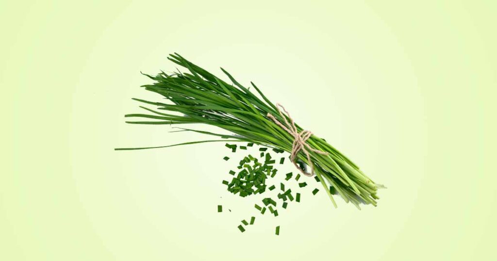 Chives (allium schoenoprasum) Health and Nutritional Benefits
