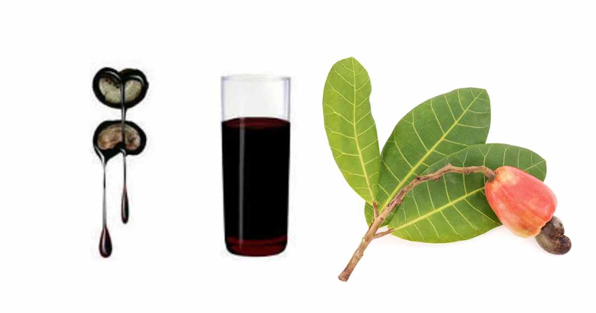 Health Benefits of Cashew Leaf, Bark and Cashew Nutshell Liquid