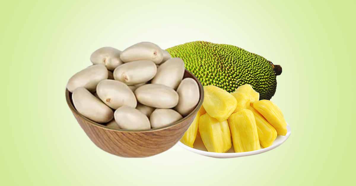 Jackfruit Seed Nutritional and Health Benefits, Side Effects