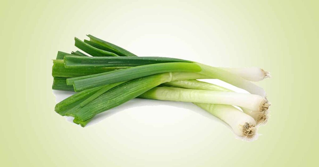 Leek Vegetable Important Nutritional and Health Benefits, Leek vs. Onions