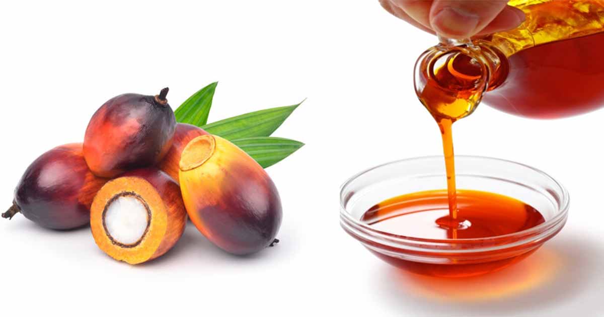 Red Palm Oil Health Benefits, Side Effects