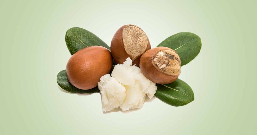 Shea Butter Important Nutritional and Health Benefits, Hair and Skin