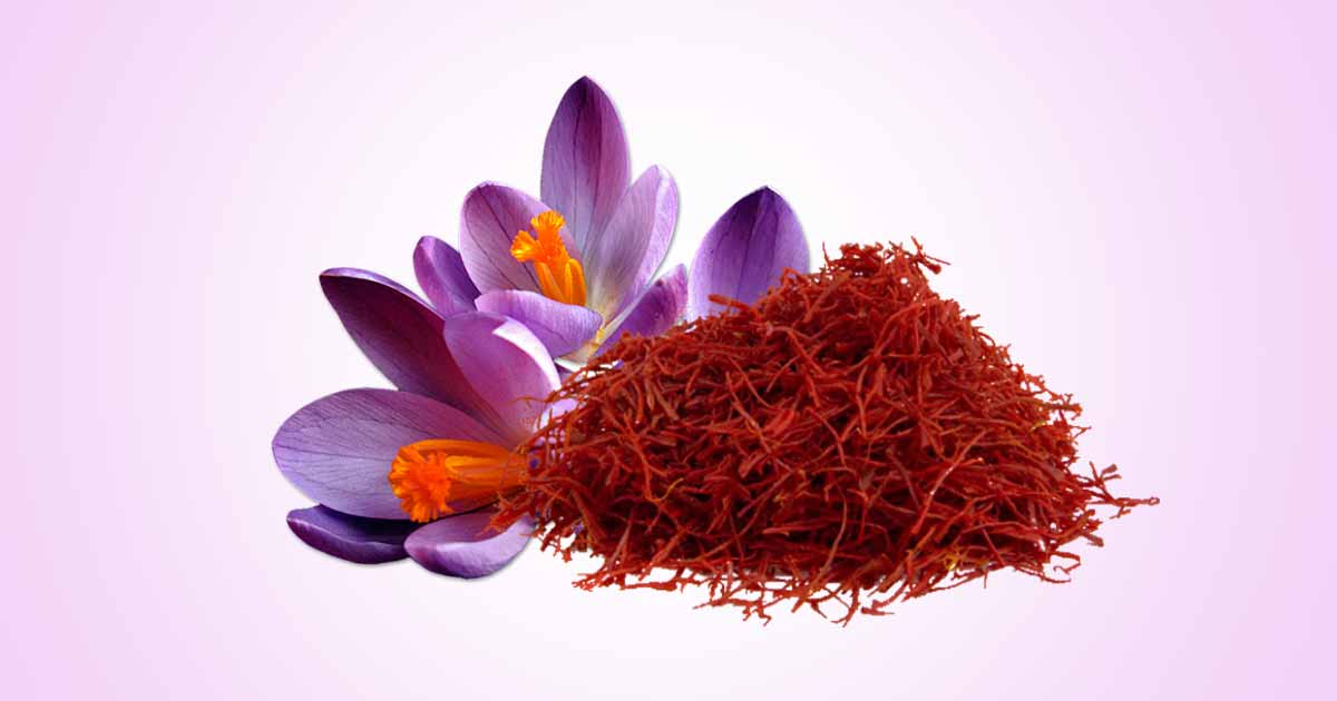 health and nutritional benefits of Saffron (Crocus Sativus), also called saffron crocus, kesar, or autumn crocus