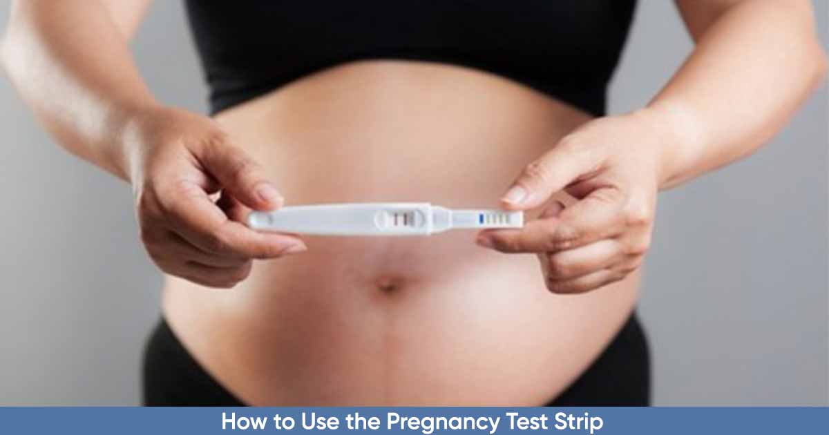Pregnancy Test Strip PT Strip How it Works and How to Use the PT Strip