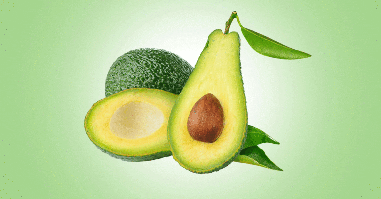 Avocado (Persea americana), Avocado Oil Health Benefits, Nutrition, Side Effects