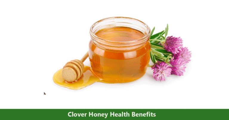 clover honey health benefits