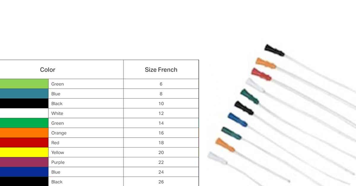 Urinary Catheter Types of Catheters, Sizes, Insertion Methods, and Applications