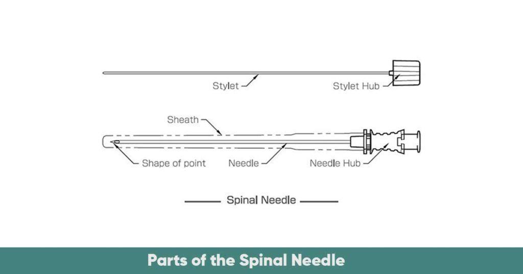 parts of the spinal needle