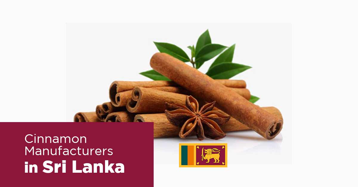 List of Cinnamon Suppliers in Sri Lanka
