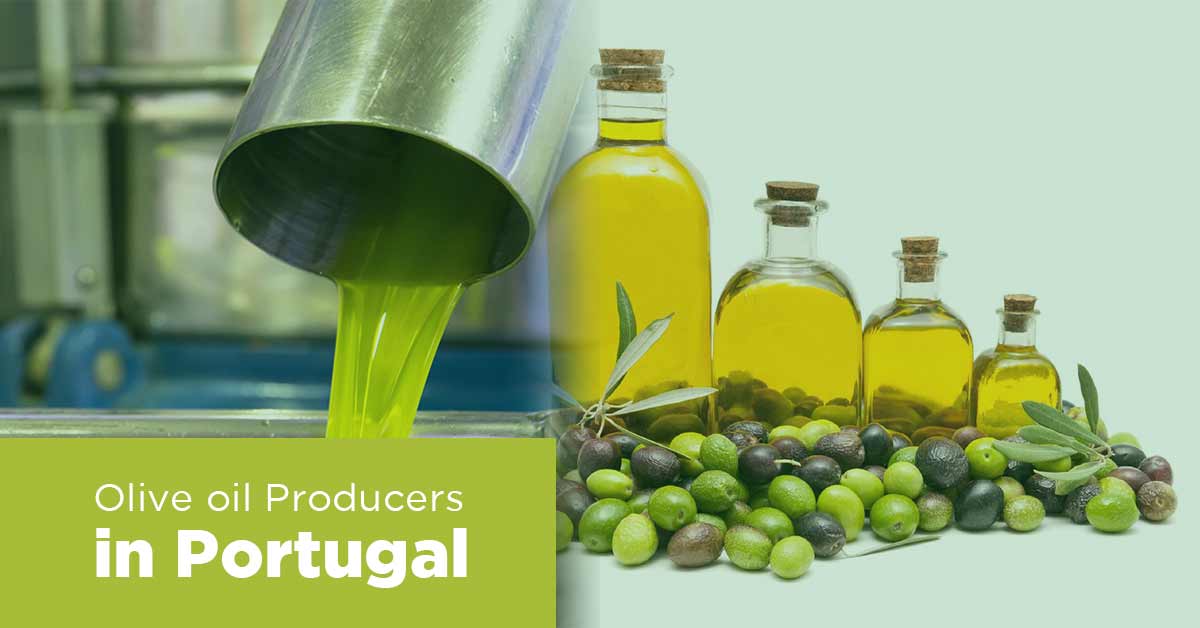 List of Olive Oil Manufacturers in Portugal