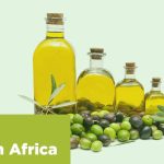 List of Olive Oil Manufacturers in South Africa (2026) List of Olive Oil Manufacturers in South Africa