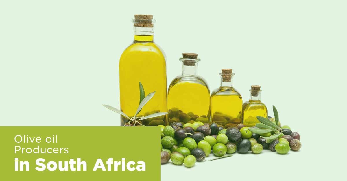 List of Olive Oil Manufacturers in South Africa